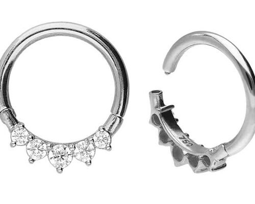 Conjunto de 5 garras exteriores em ouro de 14K com dobradiça cirúrgica Tipo hipoalergénico