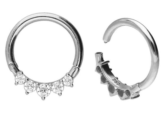 Conjunto de 5 garras exteriores em ouro de 14K com dobradiça cirúrgica Tipo hipoalergénico