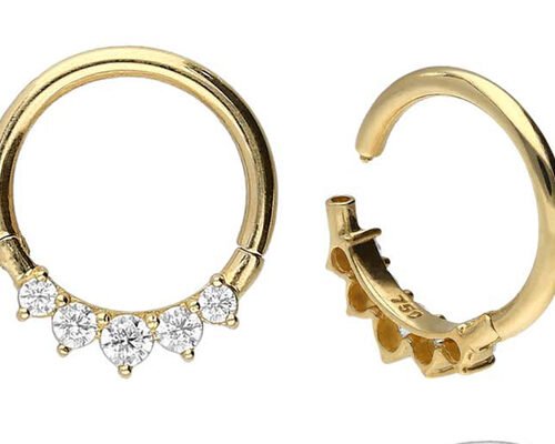 Conjunto de 5 garras exteriores em ouro de 14K com dobradiça cirúrgica Tipo hipoalergénico