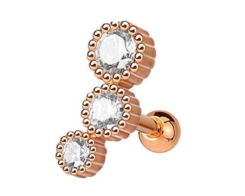 Sterile Gold Body Piercing Schmuck Ohrringe für Knorpel Tragus Dia 3×3mm ODM