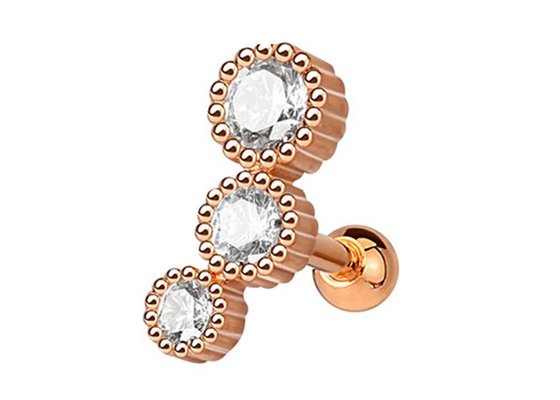 Sterile Gold Body Piercing Schmuck Ohrringe für Knorpel Tragus Dia 3×3mm ODM